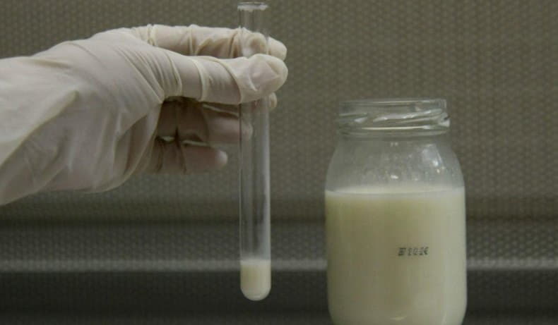 Новини Вінниці - фото з «В Україні мало людей, які не переносять лактозу». Ми перевірили склад і якість молока