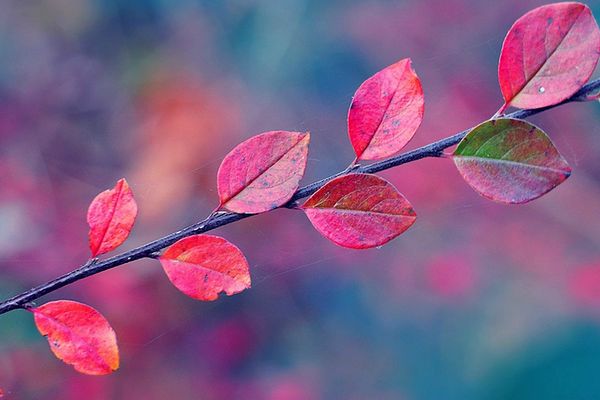 Новини Вінниці - фото з Тривалі вихідні. Скільки днів будуть відпочивати вінничани у жовтні Коли день кадровика - 12 жовтень 2021 - nfpu.org.ua