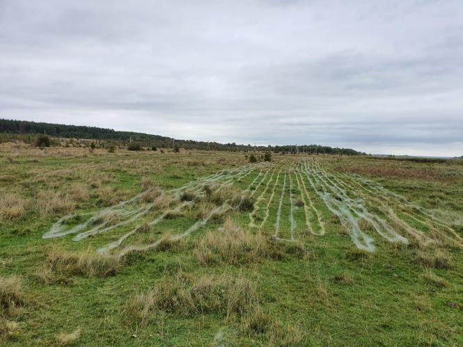 Новини Хмельницького - фото з На Південному Бузі виявили понад три кілометри браконьєрських сіток