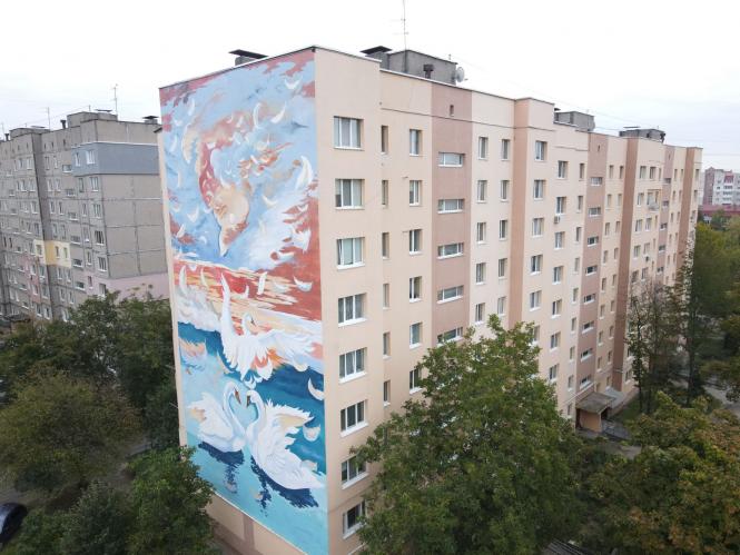 Новини Вінниці - фото з На будинках Вінниці зробили чотири мурал-арти. Яка ціна малюнків?