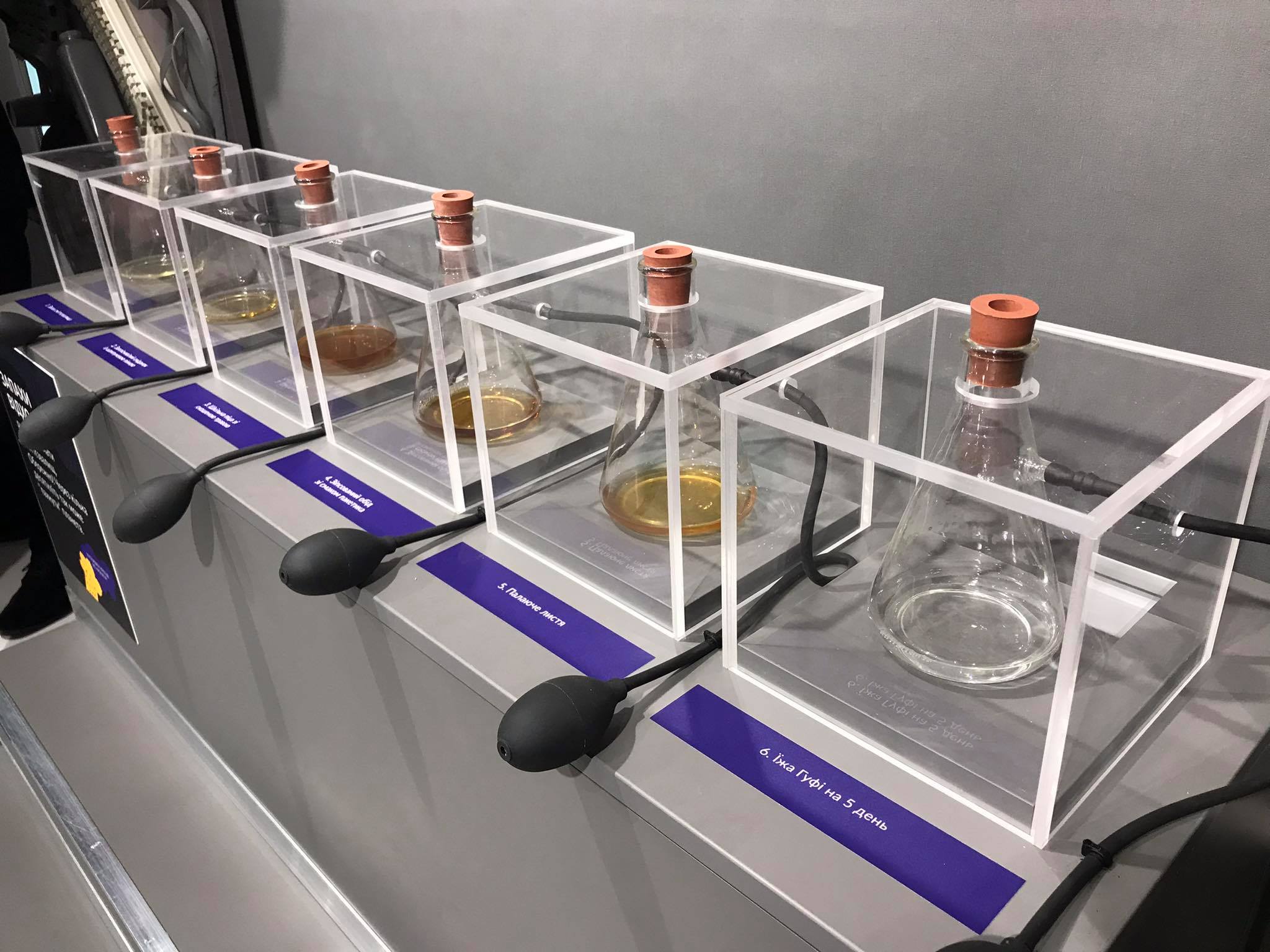 Новини Хмельницького - фото з Понюхати зіпсований обід і почути голос сміття можна у новому просторі за 3 мільйони Нет описания.