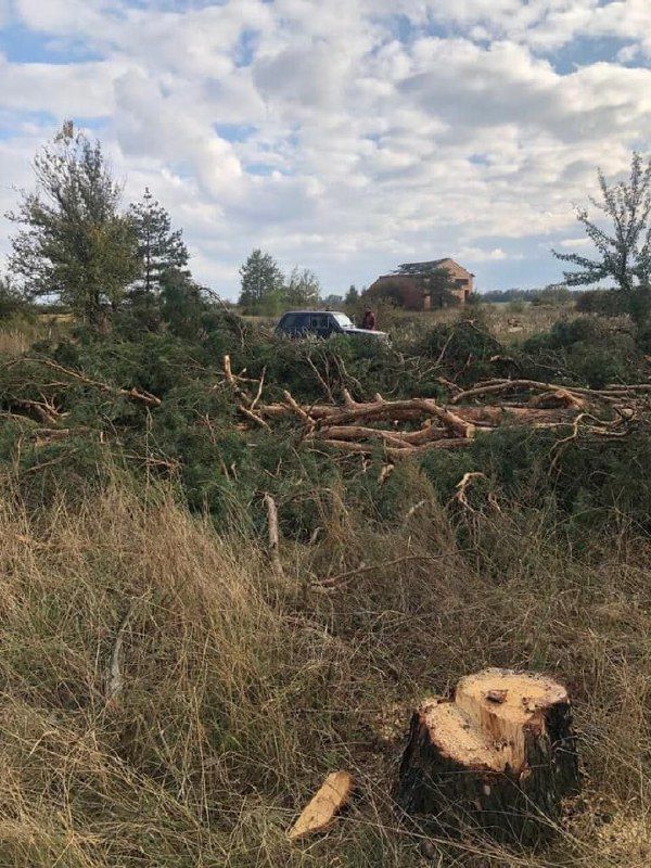 Новини Житомира - фото з На Романівщині незаконно вирубали 70 дерев