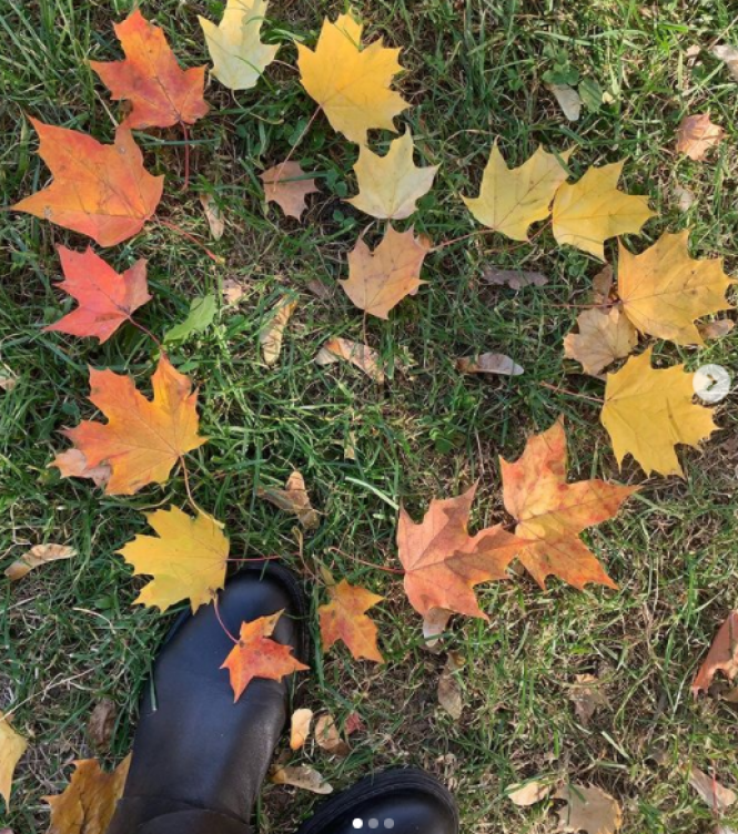 Новини Хмельницького - фото з Хмельницький в Instagram: обрали кращі ваші фото за останній тиждень