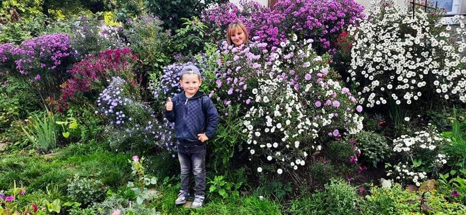 Новини Тернополя - фото з Перетворила город у чарівний сад: виростила поле хризантем і айстр. Чи можна до неї на фотосесію? На зображенні може бути: Галя Явна, дитина, стоїть, квітка, на відкритому повітрі та дерево