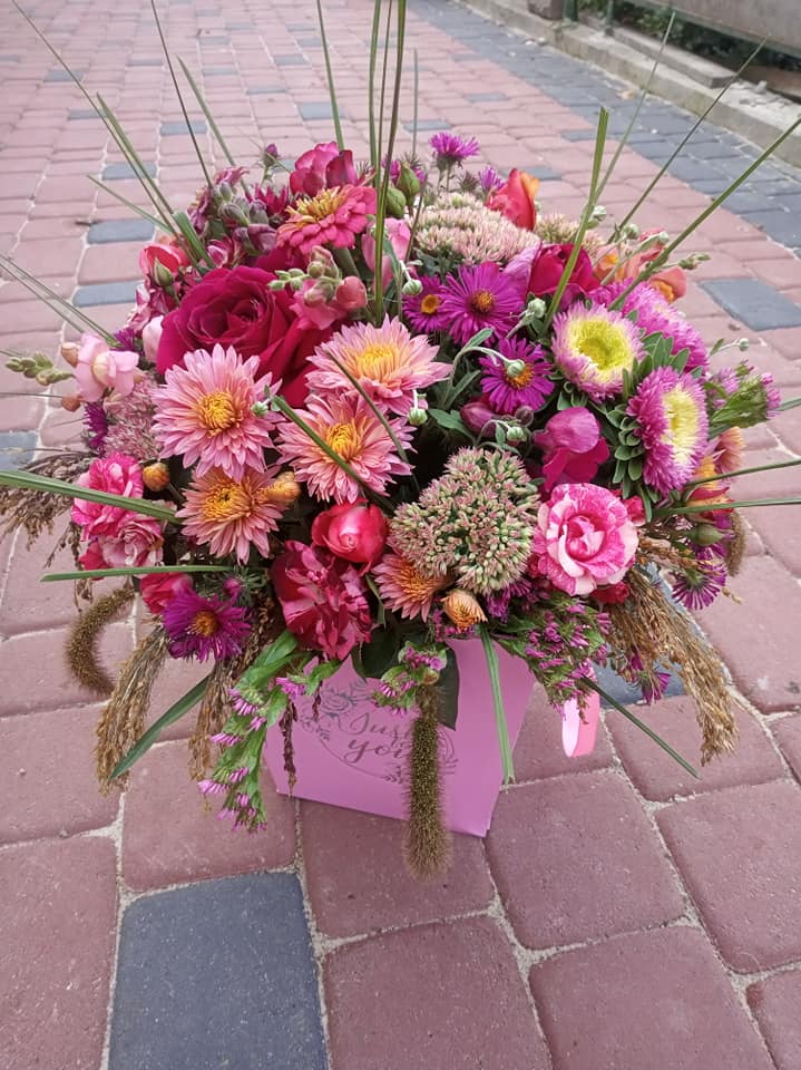 Новини Тернополя - фото з Перетворила город у чарівний сад: виростила поле хризантем і айстр. Чи можна до неї на фотосесію? На зображенні може бути: квітка