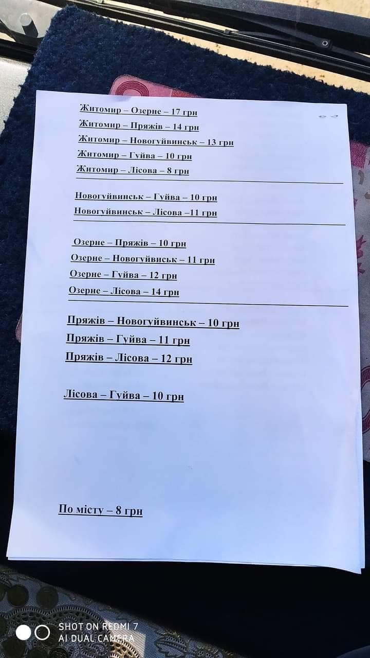 Новини Житомира - фото з Наруга над могилами, кінець історії «Панчішки», вартість проїзду зростає: що житомиряни обговорювали у мережі Facebook за тиждень