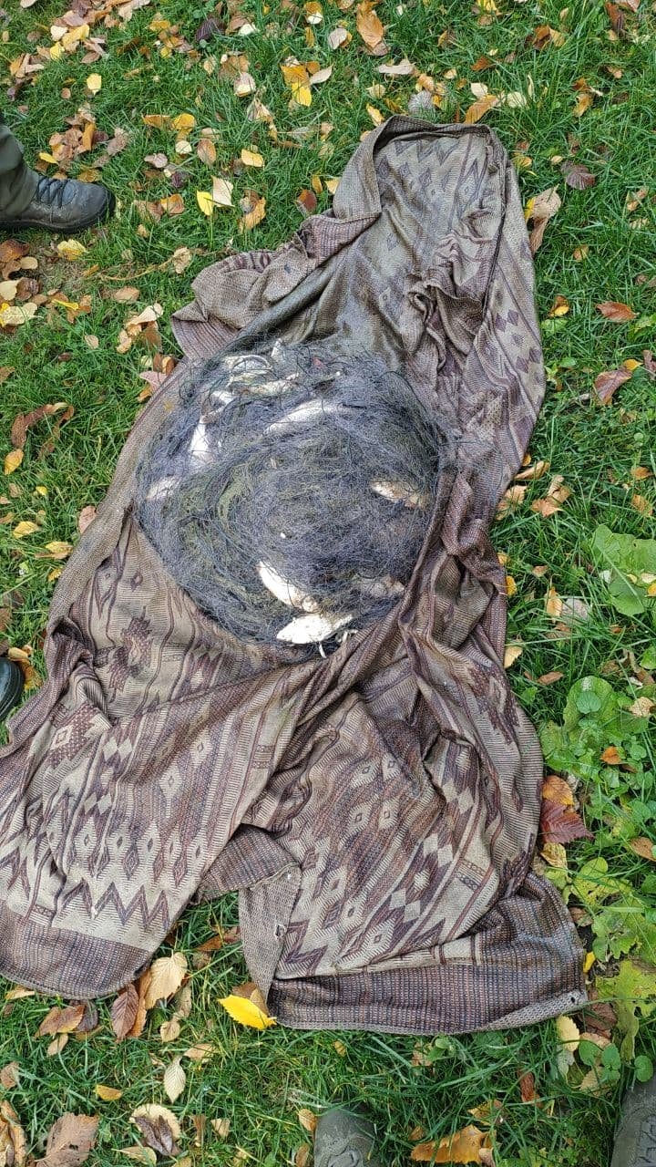 Новини Житомира - фото з Невдала риболовля: за 5 кг ляща житель Андрушівки має сплатити майже 300 тисяч гривень