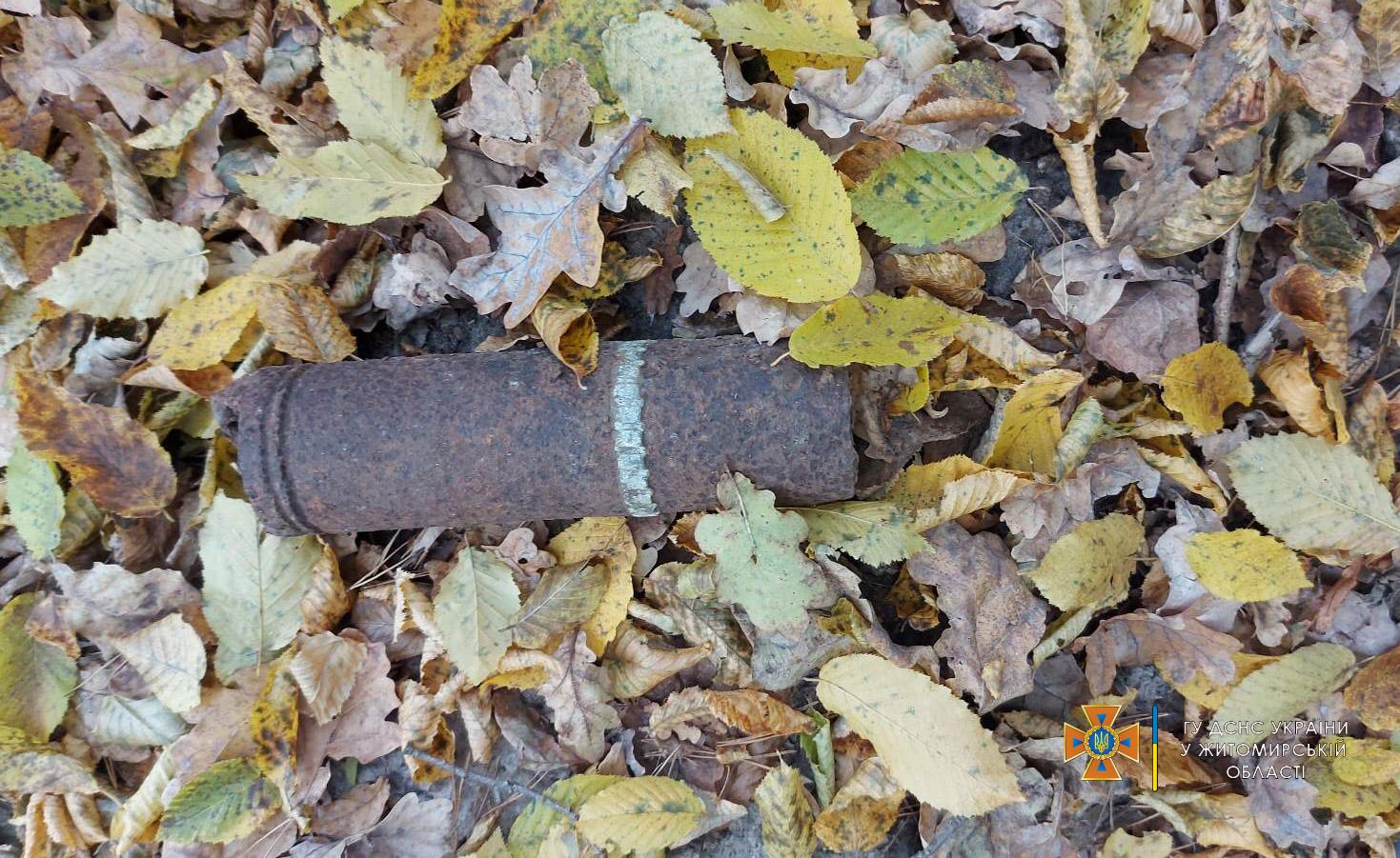 Новини Житомира - фото з У Житомирському районі грибники натрапили на снаряд