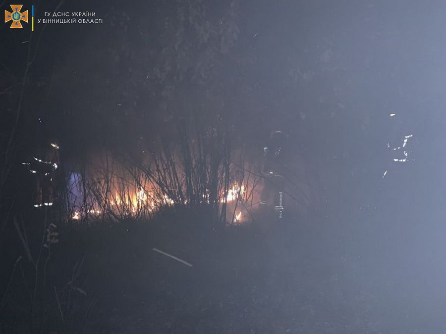 Новини Козятина - фото з Вогонь знищив 16 гектарів сухої трави: горіло і у нашому районі