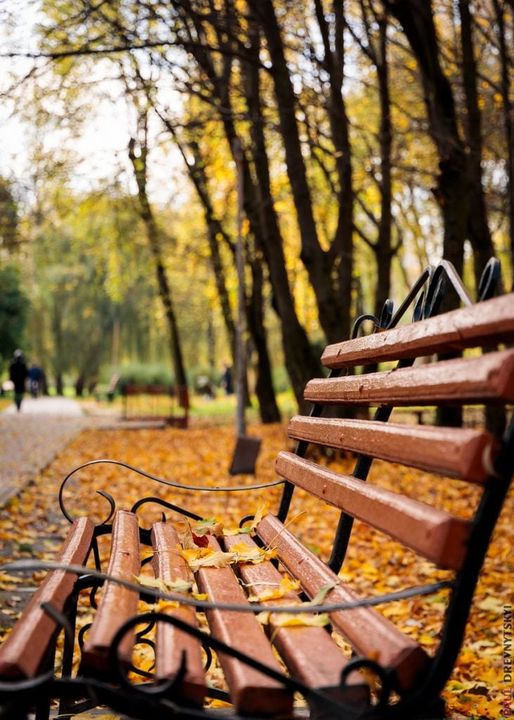 На зображенні може бути: природа