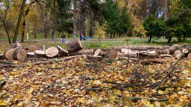 У парку Ющенка зрізають дерева. Що це — санітарна рубка чи готують ділянку під забудову?