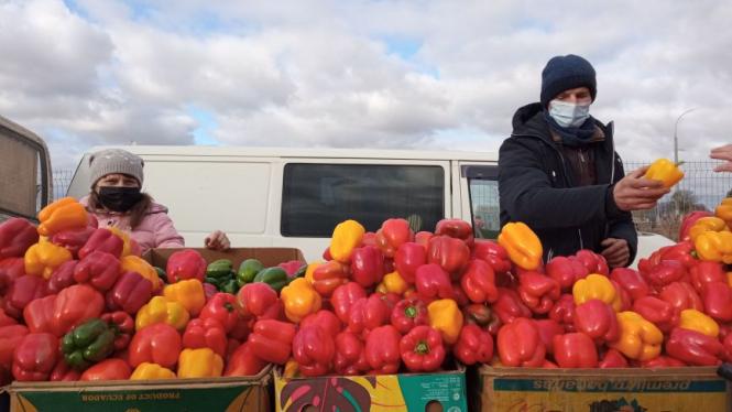 З візками й мішками. Що відбувається на осінньому сільськогосподарському ярмарку