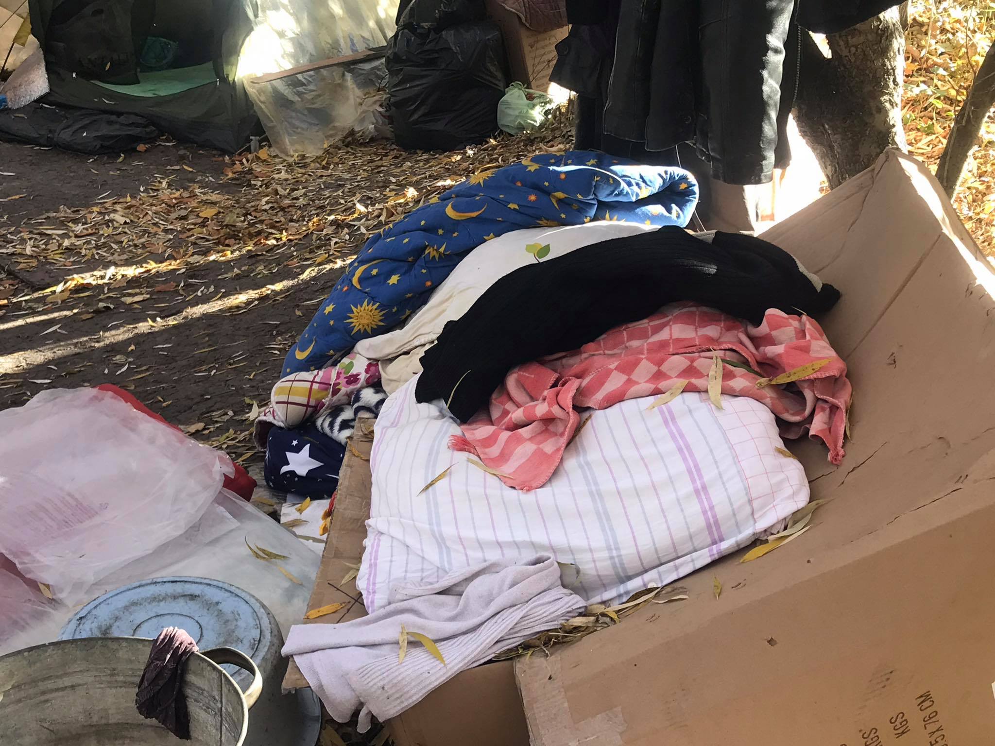 Новини Хмельницького - фото з “Якщо вкриватися - то не холодно”. Як і чому Олена та Петро живуть в дендропарку Нет описания.