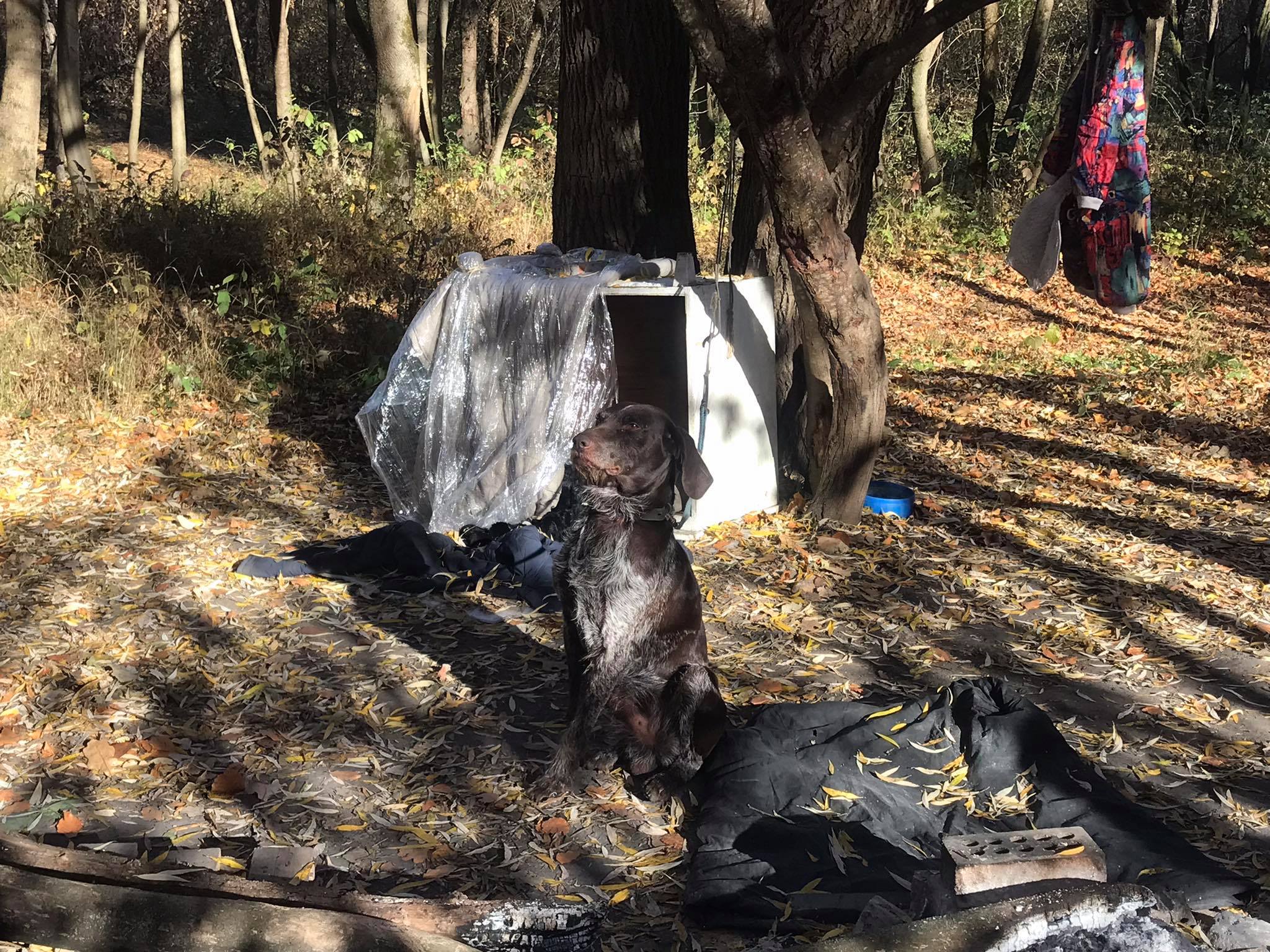 Новини Хмельницького - фото з “Якщо вкриватися - то не холодно”. Як і чому Олена та Петро живуть в дендропарку Нет описания.