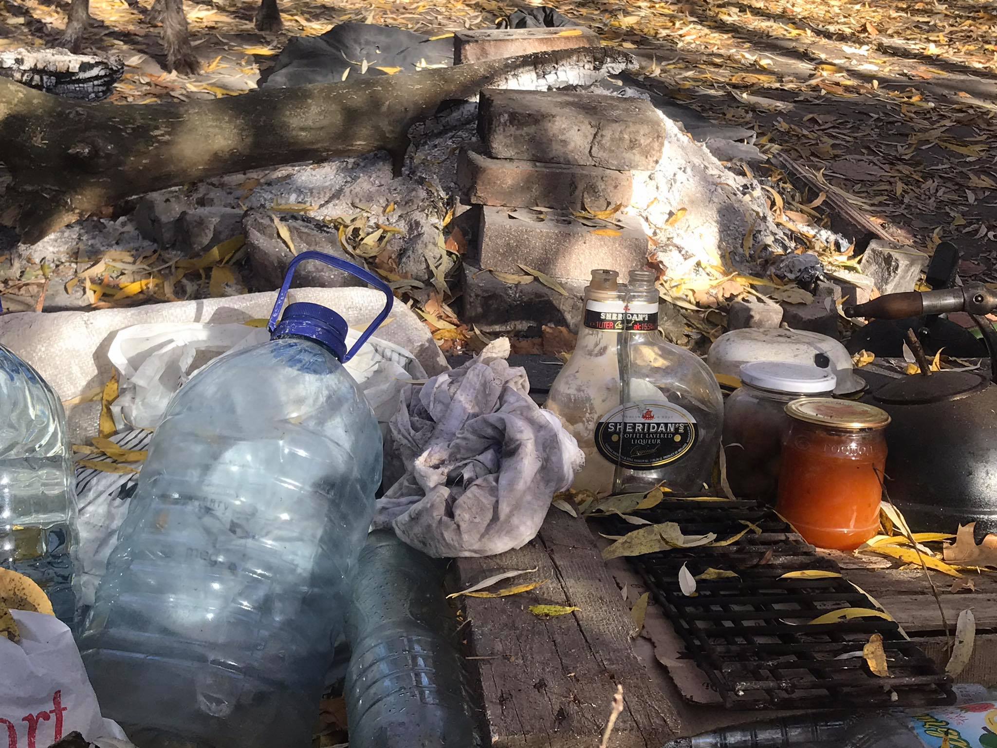 Новини Хмельницького - фото з “Якщо вкриватися - то не холодно”. Як і чому Олена та Петро живуть в дендропарку Нет описания.