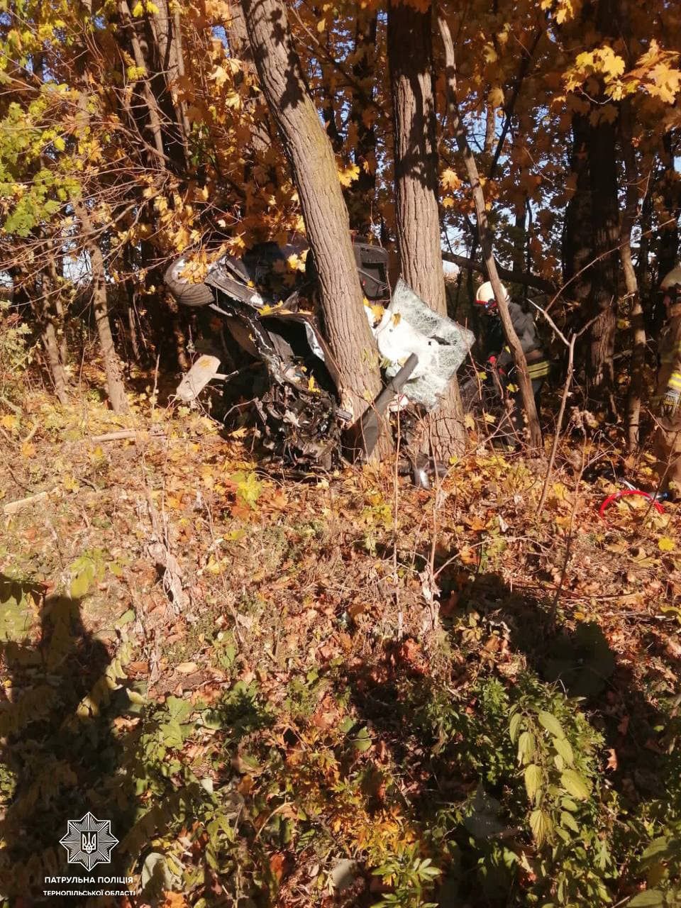 Новини Тернополя - фото з ДТП неподалік с. Озерна: AUDI злетіло з дороги. Пасажирка загинула, водій без свідомості (ФОТО)