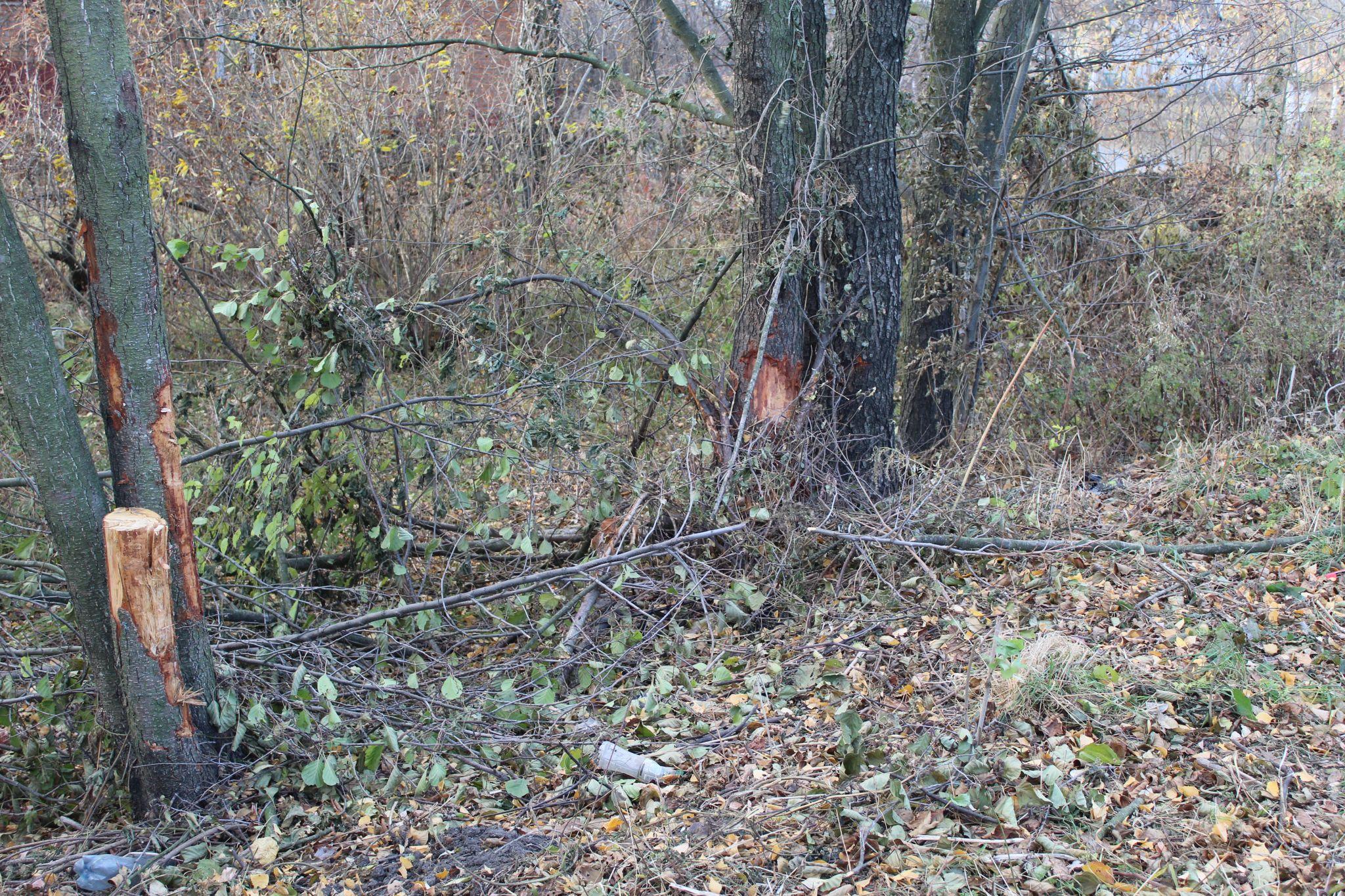 Новини Козятина - фото з Освітлення на залізничному, прорив води на вокзалі та лавка, щоб не заснути