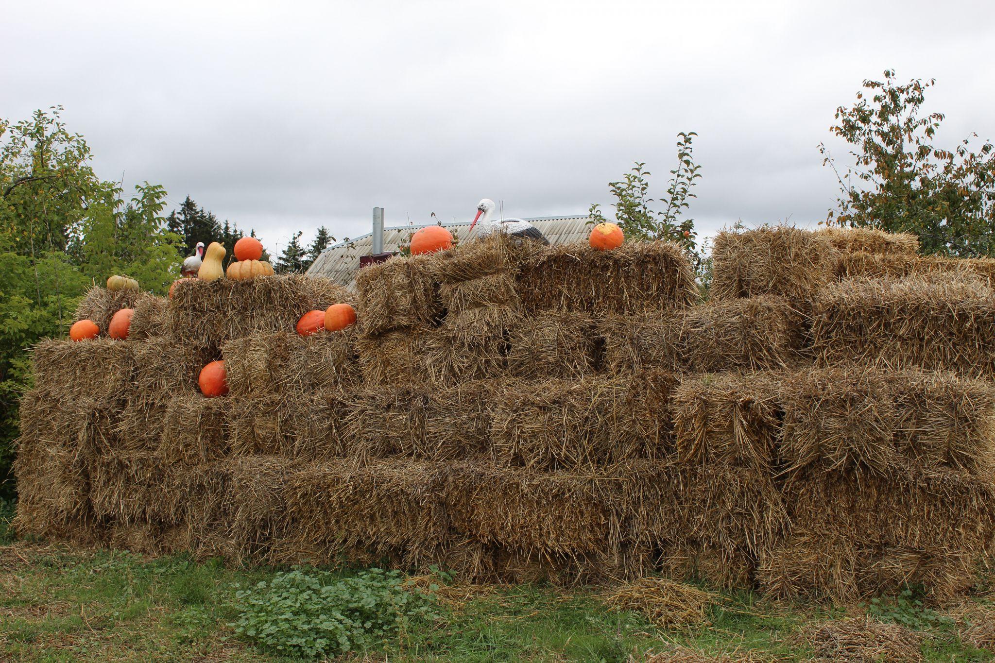 Новини Козятина - фото з Освітлення на залізничному, прорив води на вокзалі та лавка, щоб не заснути