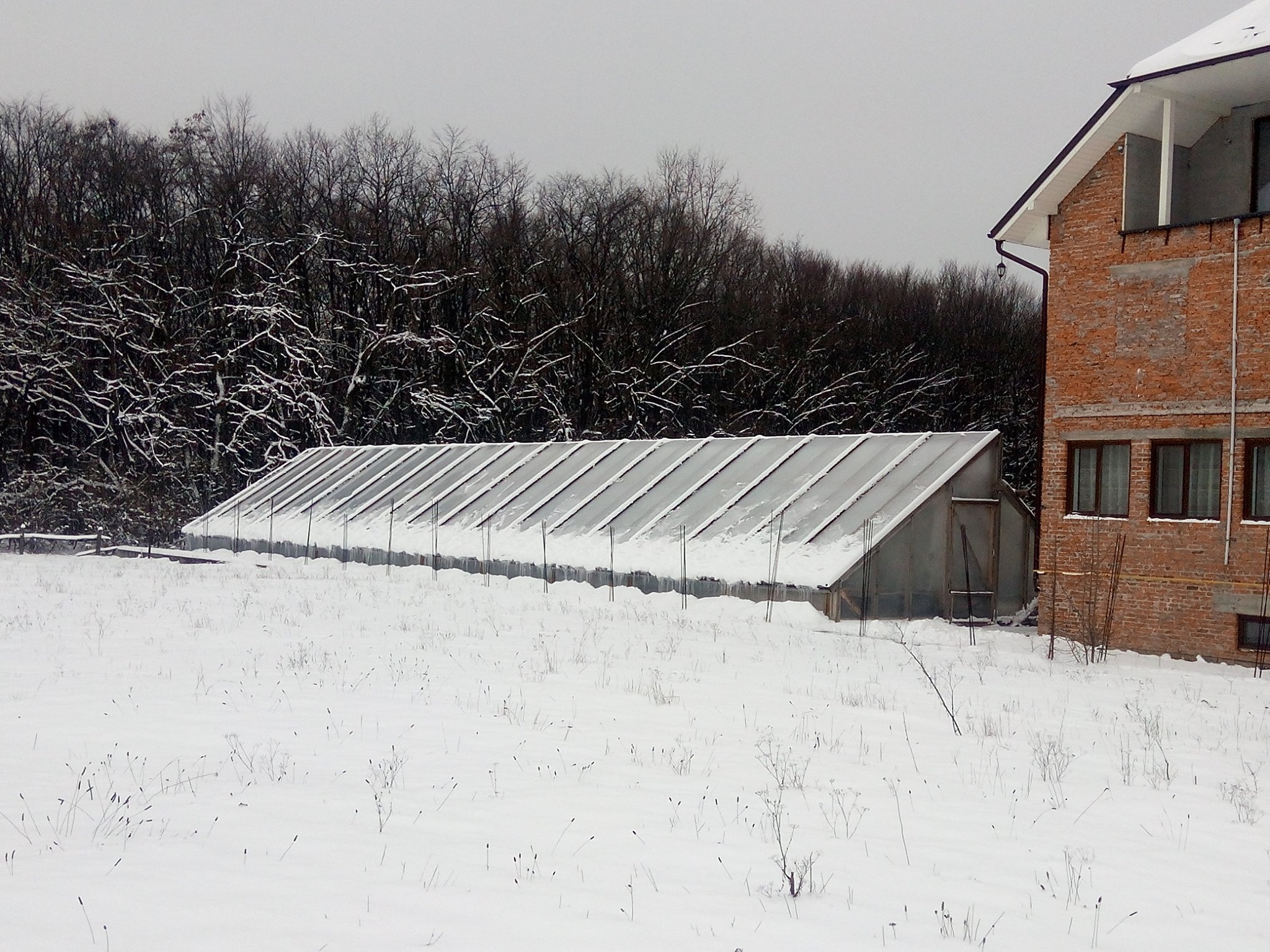 Новини Тернополя - фото з Зробив підземну теплицю на власному городі і не пошкодував: тепер вирощує і продає квіти цілий рік Немає опису світлини.