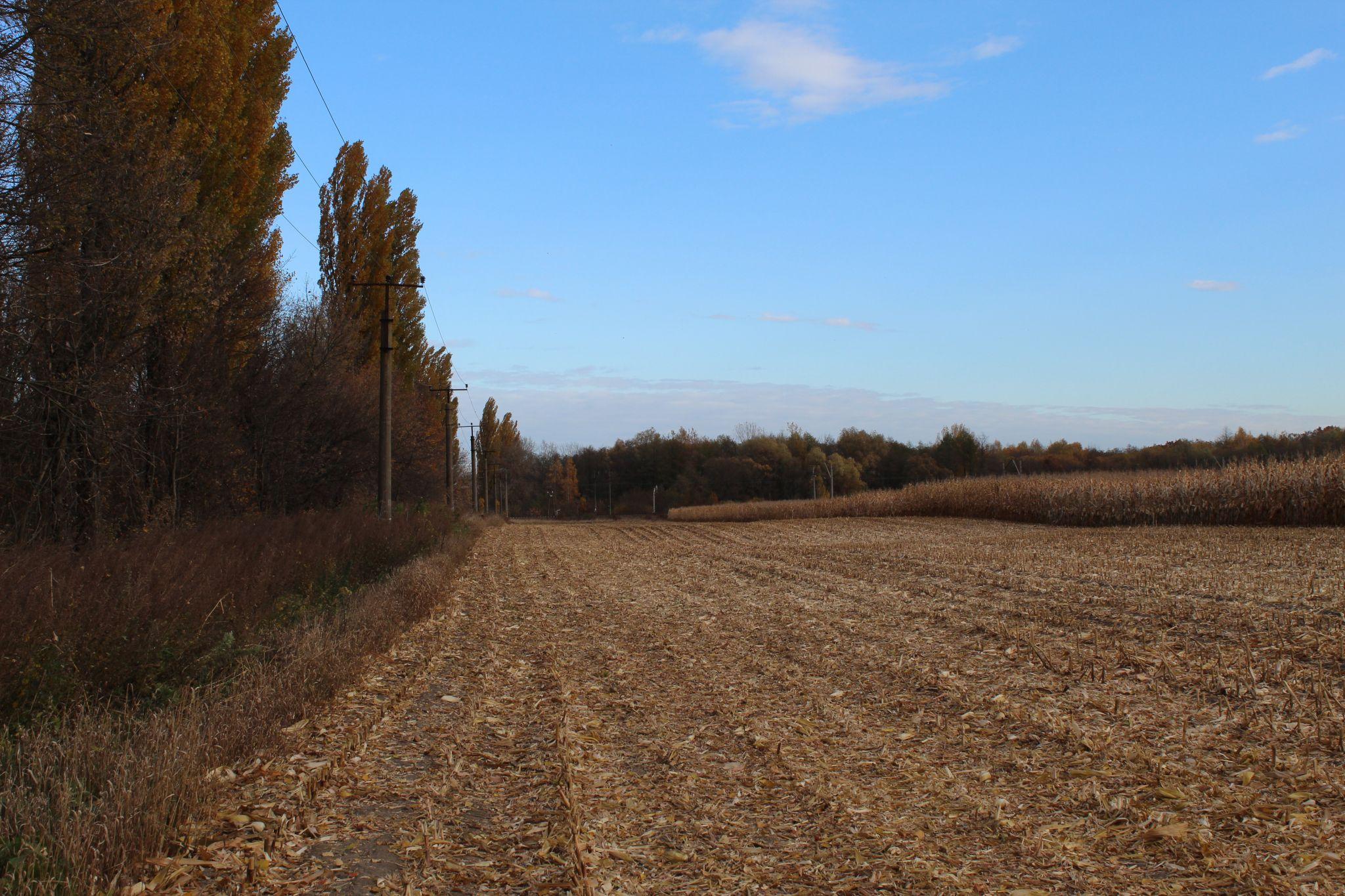 Новини Козятина - фото з Освітлення на залізничному, прорив води на вокзалі та лавка, щоб не заснути