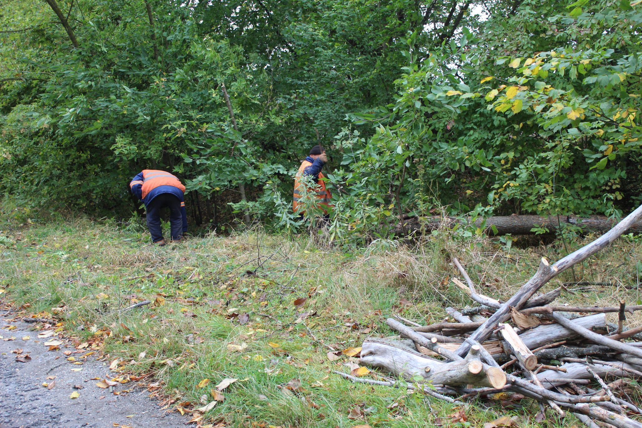 Новини Козятина - фото з Освітлення на залізничному, прорив води на вокзалі та лавка, щоб не заснути