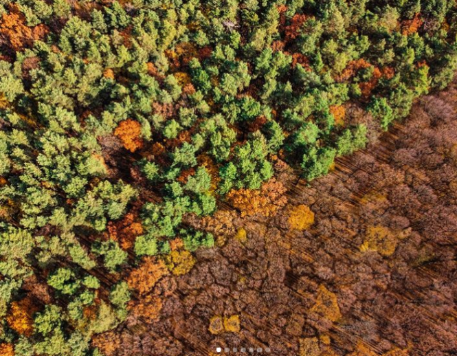 Новини Хмельницького - фото з Хмельницький в Instagram: кращі фото за останній тиждень