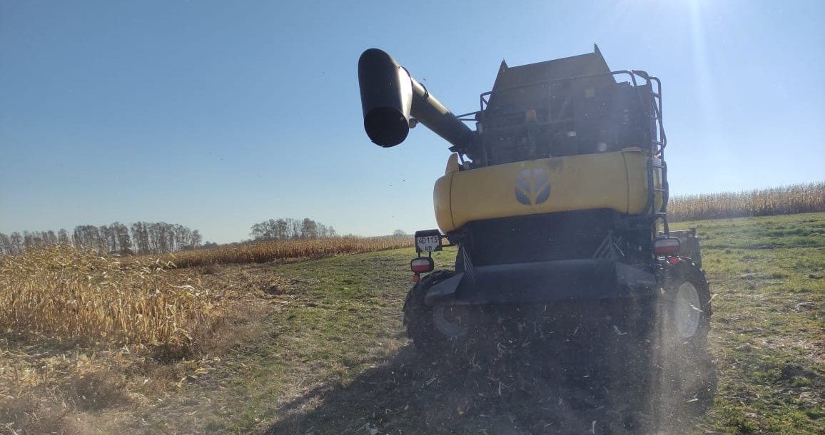 Новини Вінниці - фото з В Іванові під час збирання кукурудзи поліція зупинила комбайн. Чому арештували техніку?