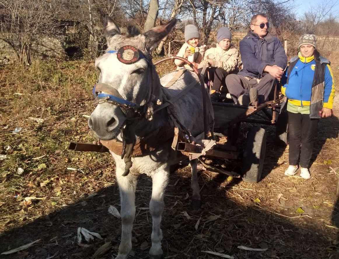 Новини Вінниці - фото з «Підвела мене Доця…». Чому незрячий відмовився від поводиря?