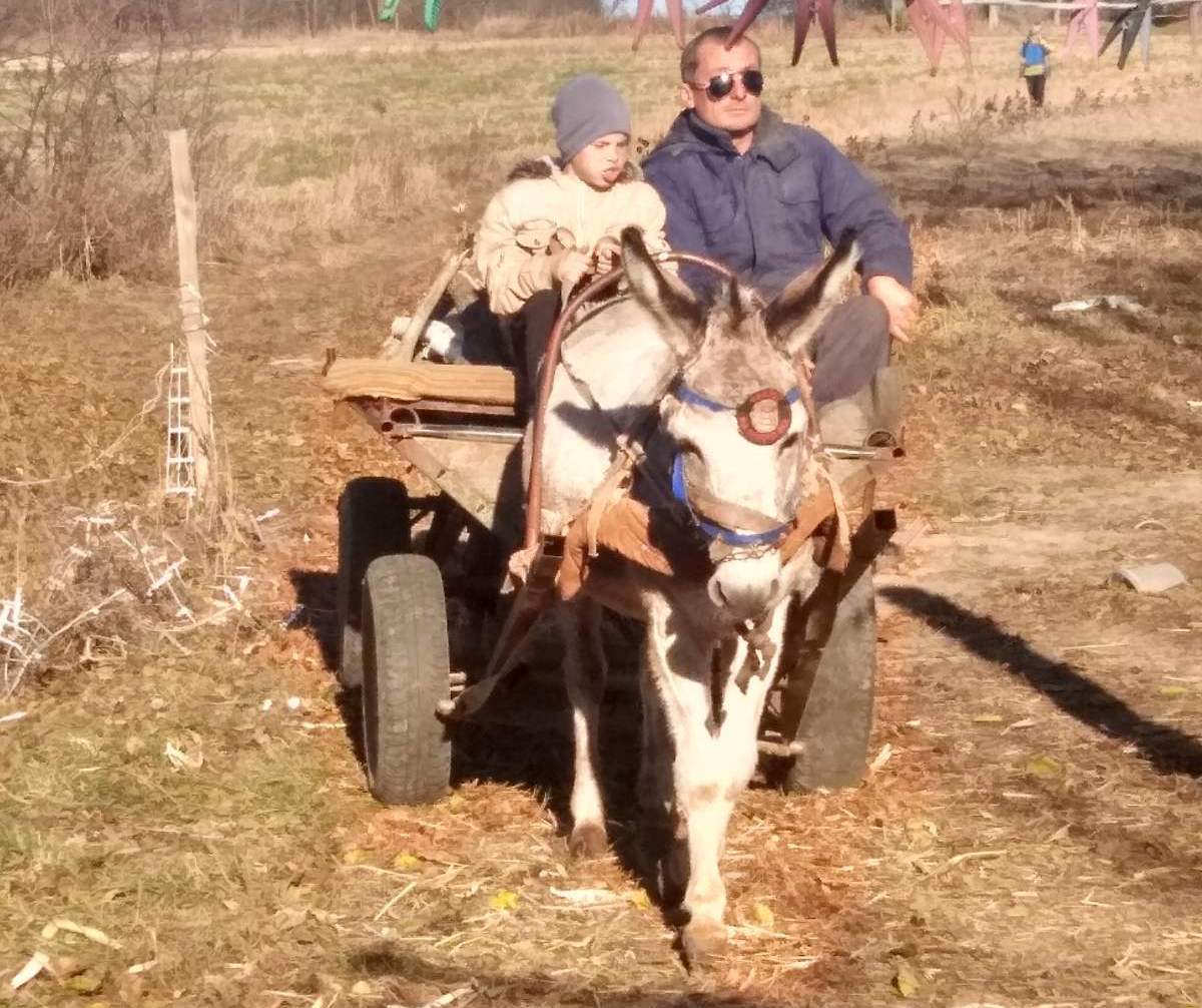 Новини Вінниці - фото з «Підвела мене Доця…». Чому незрячий відмовився від поводиря?