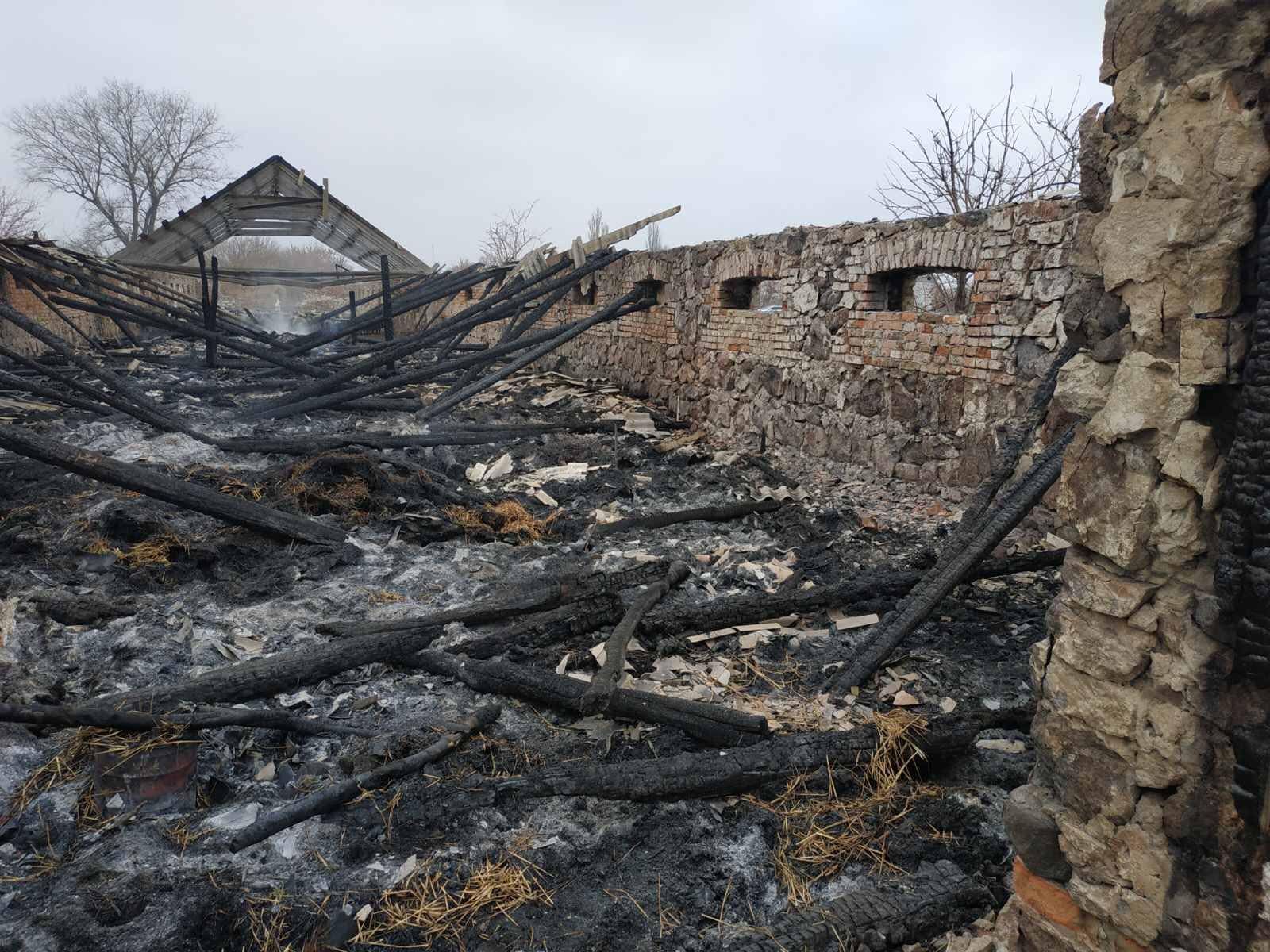 Новини Вінниці - фото з Спалені індики, обгорілі вівці, побитий охоронець. У Козинцях за дивних обставин згоріла ферма