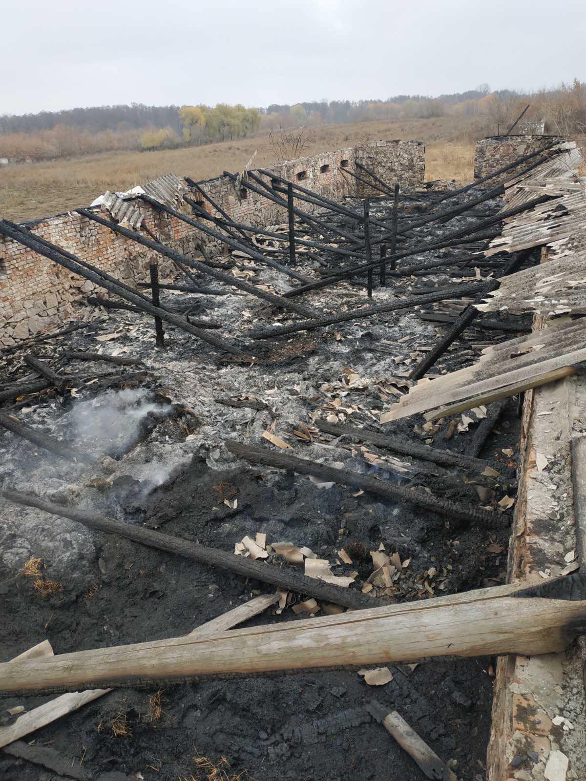 Новини Вінниці - фото з Спалені індики, обгорілі вівці, побитий охоронець. У Козинцях за дивних обставин згоріла ферма