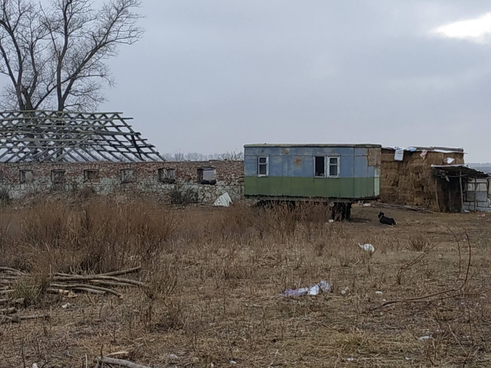 Новини Вінниці - фото з Спалені індики, обгорілі вівці, побитий охоронець. У Козинцях за дивних обставин згоріла ферма
