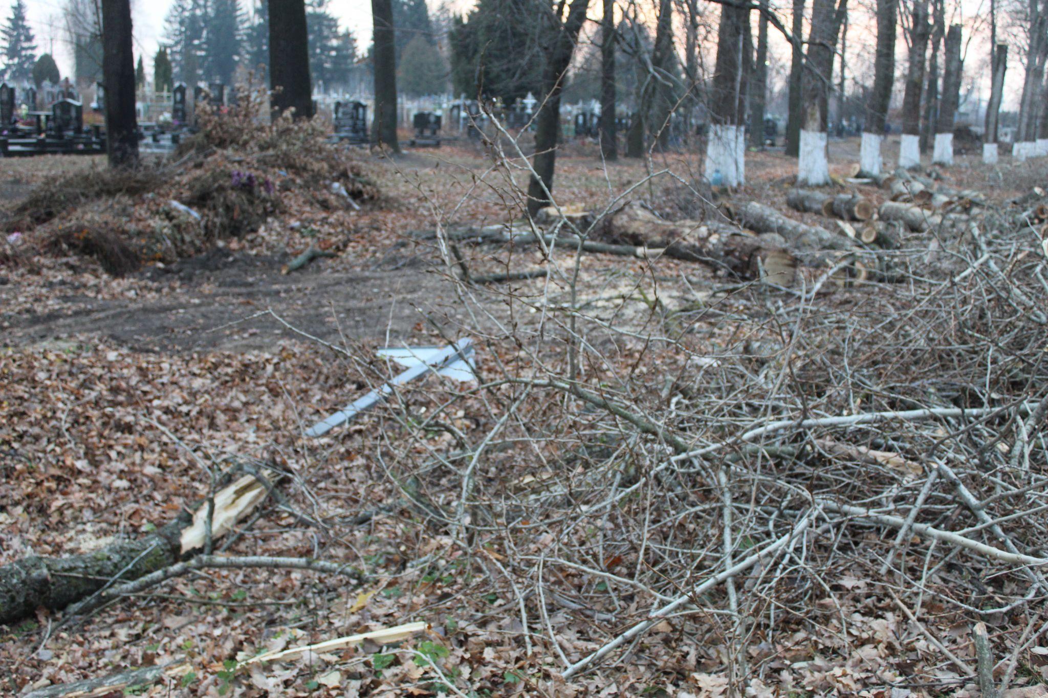 Новини Козятина - фото з Обрубки на Білоцерківській трасі або як варвари дерева кронували