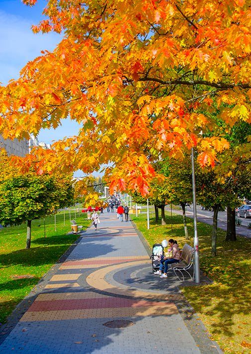 Новини Вінниці - фото з 2022-й проголошено роком області. Розпочинаємо проект «Вінниччині-90», приєднуйтеся…