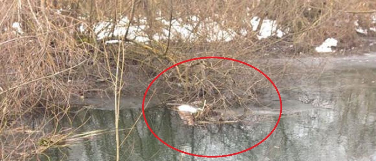 Новини Тернополя - фото з Довічне для Юрія, який вбив і розчленував дружину. Чому тягнули з вироком і де зараз діти жінки? (18+)