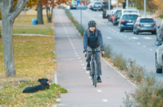 Новини Вінниці - фото з У Вінниці облаштували майже 10 кілометрів велосипедних доріжок та смуг