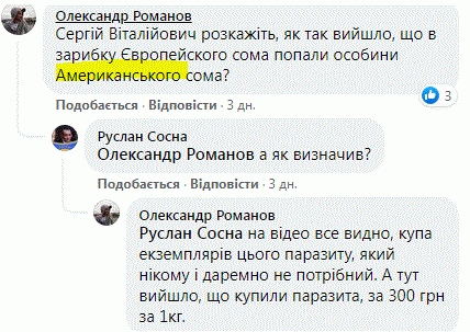 Новини Тернополя - фото з Тернопільські рибалки переконують, що Став зарибили небезпечними паразитами. Який сом там насправді?