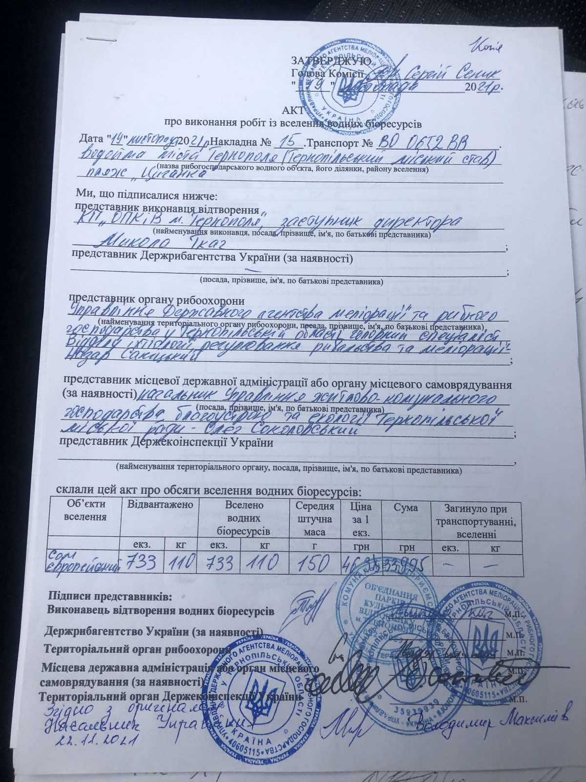 Новини Тернополя - фото з Тернопільські рибалки переконують, що Став зарибили небезпечними паразитами. Який сом там насправді?