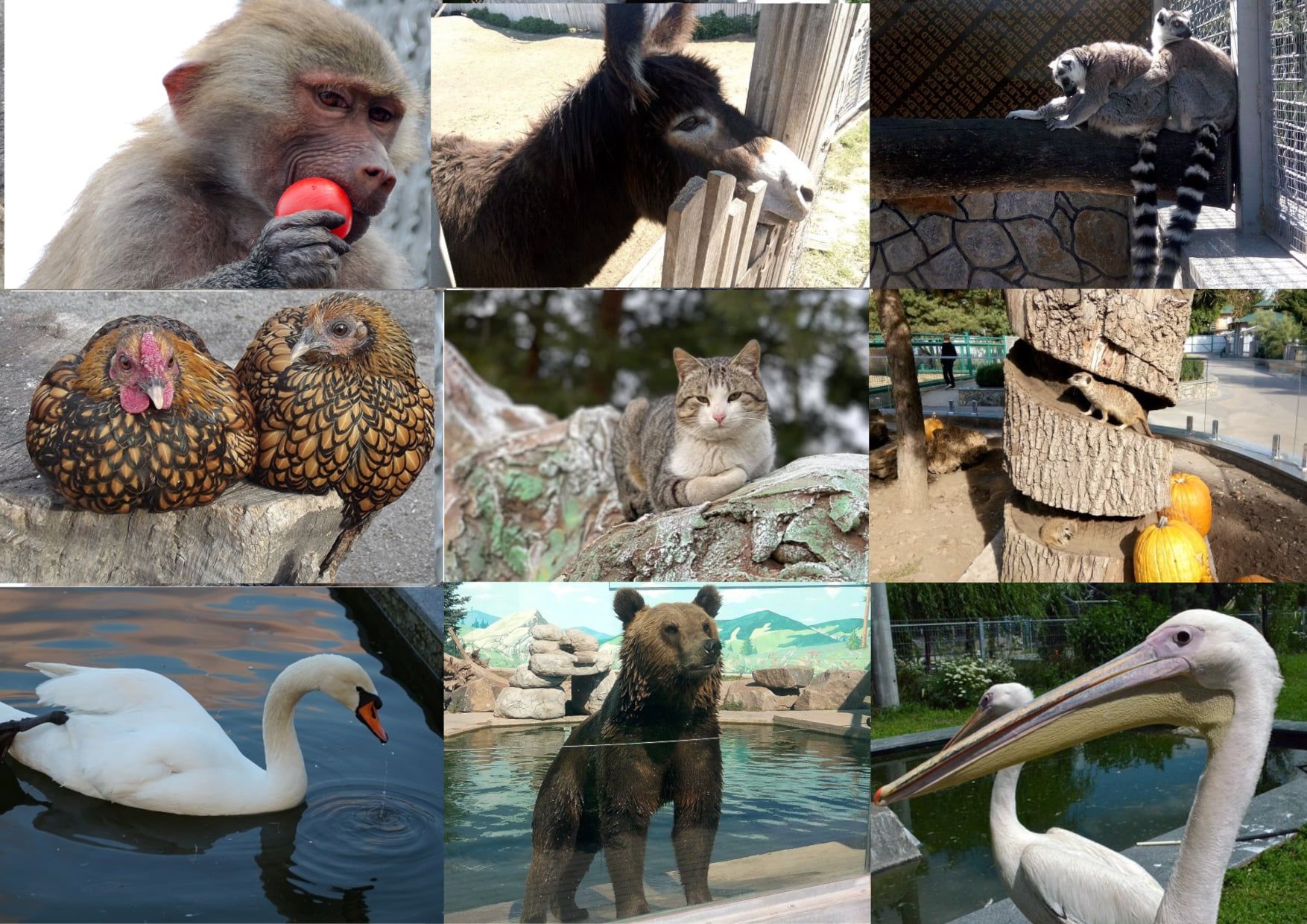 Новини Вінниці - фото з Культурна Вінниця в червоній зоні, але не вся. Як міняється афіша вистав та концертів?