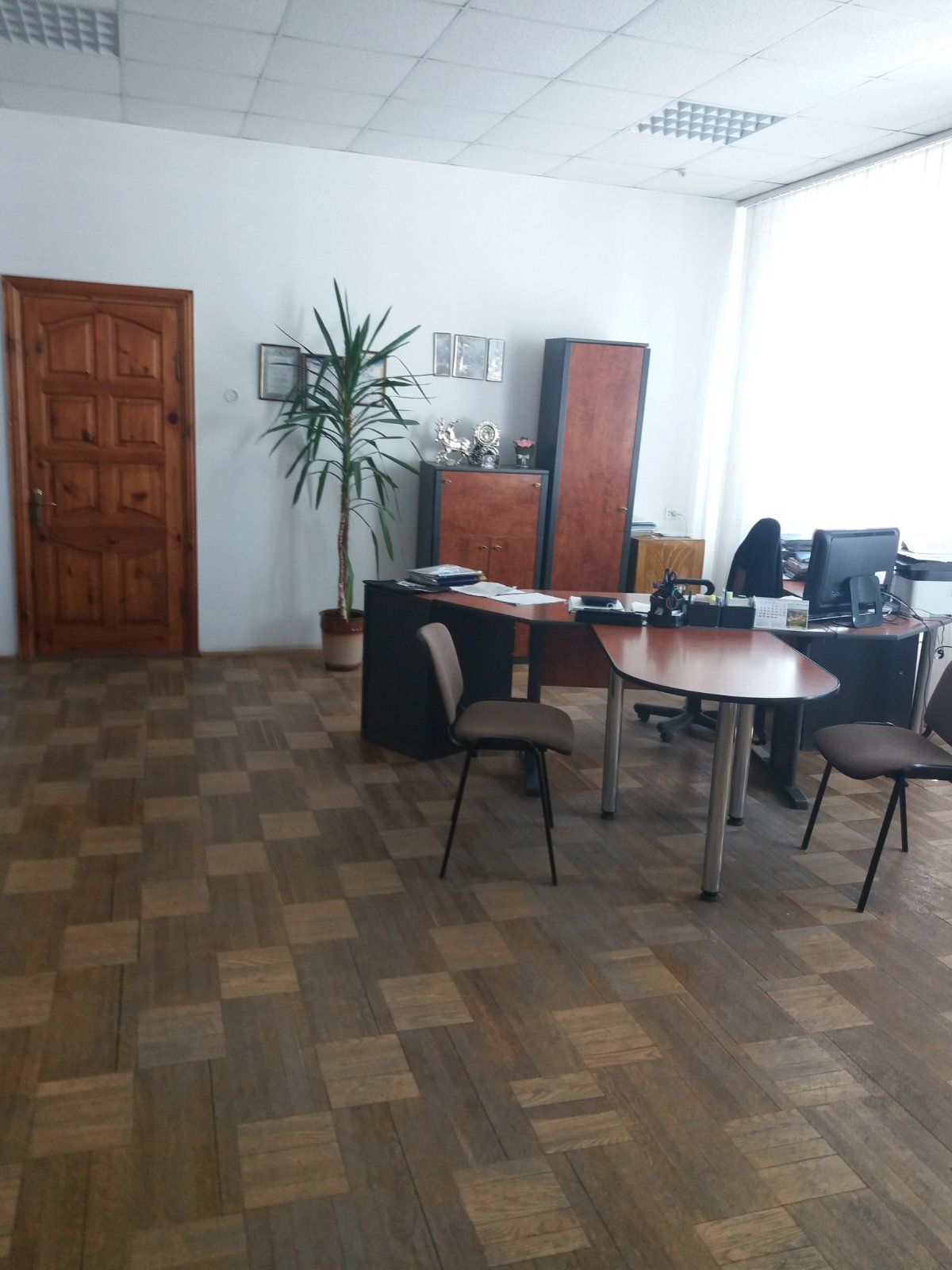 Новини Тернополя - фото з ТОП пропозиції на аукціонах: що можна взяти в оренду в Тернополі за 25 копійок?