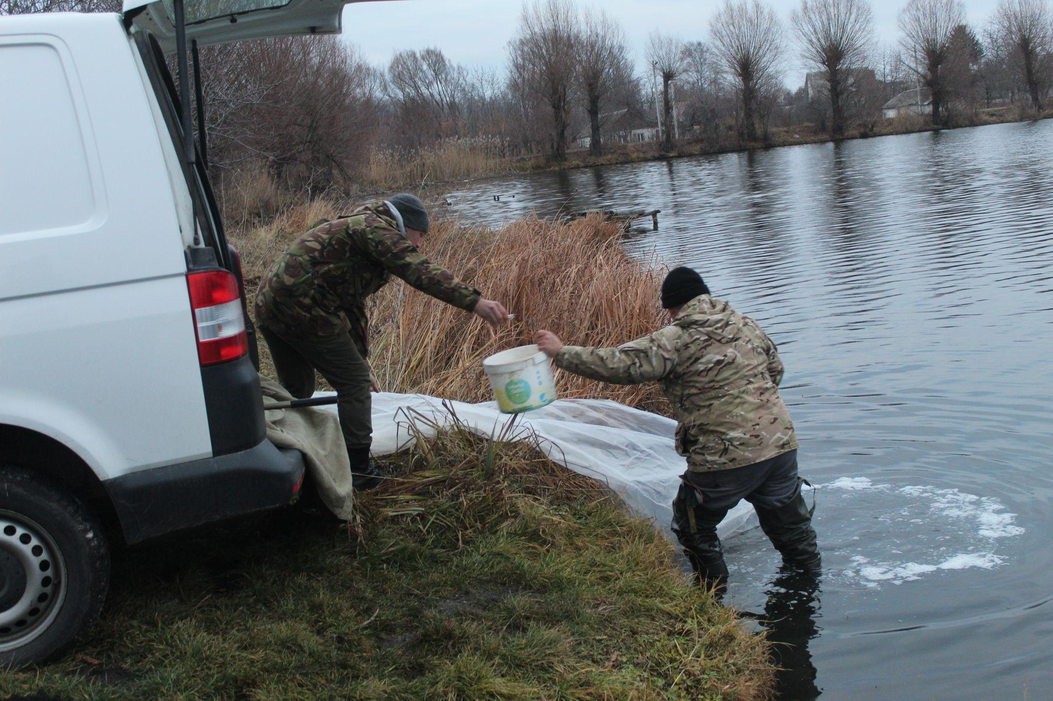 Новини Козятина - фото з Привезли 250 кілограм коропа та малька білого амура. Водокачка обзавелась переселенцями