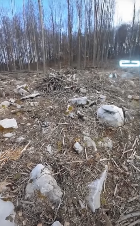 Новини Тернополя - фото з Їхав у Карлові Вари, а опинився в лісі: історія заробітчанина з Тернополя, якого «нагріли» роботодавці