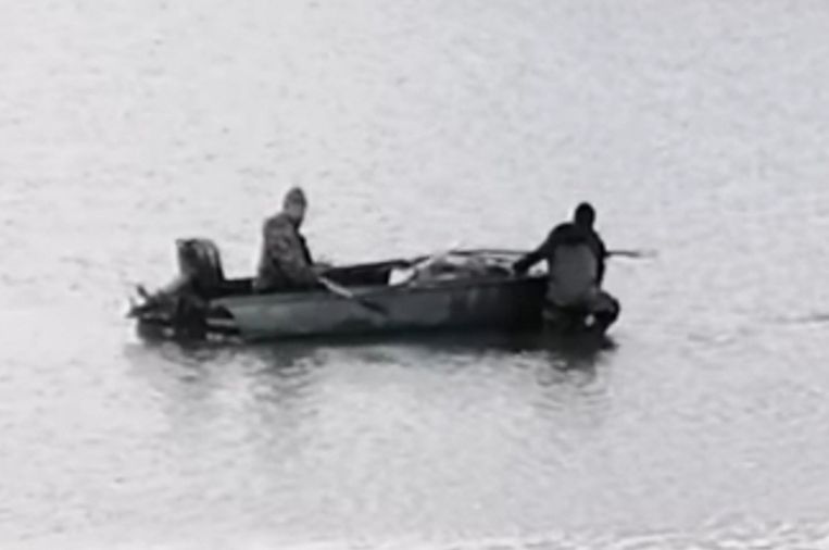 Новини Вінниці - фото з Мертвих лебедів зібрали і спалили. Продовження історії про загибель птахів у Северинцівці