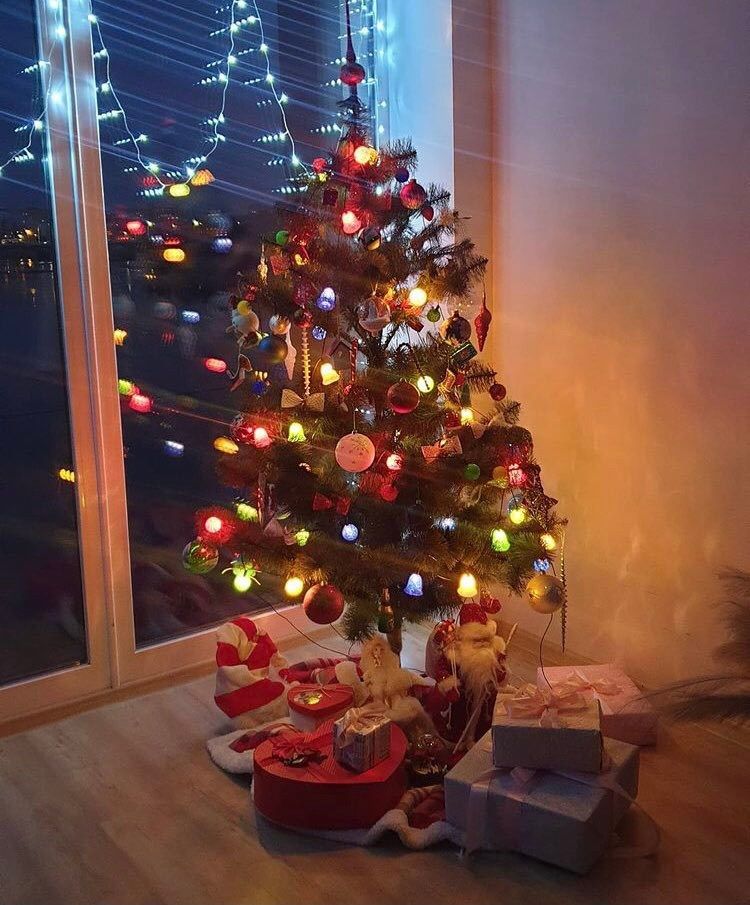 Новини Вінниці - фото з Новорічні локації для казкових фотосесій. Що пропонують вінницькі студії і за яку ціну?