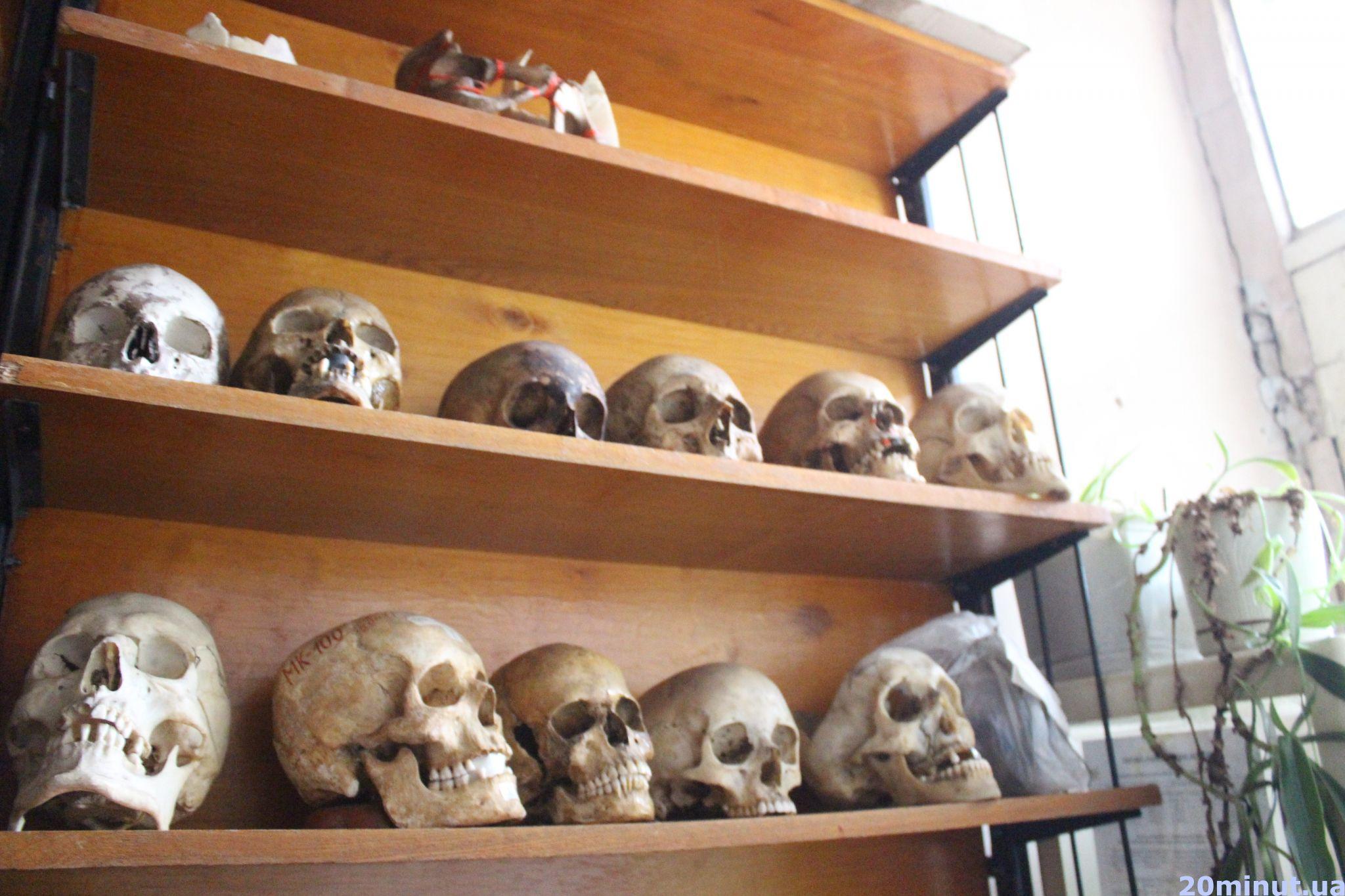 Новини Тернополя - фото з Досліджують частинки трупів і знаряддя вбивств: таємниці роботи судмедекспертів. РЕПОРТАЖ (18+)