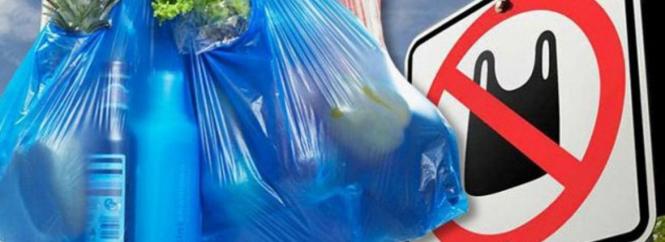 Новини Вінниці - фото з Фальшиві ковід-сертифікати, як давати у борг та інше важливе за 2 грудня на 20minut.ua За безкоштовні пластикові пакети будемо тепер платити. Скільки та які їм існують альтернативи