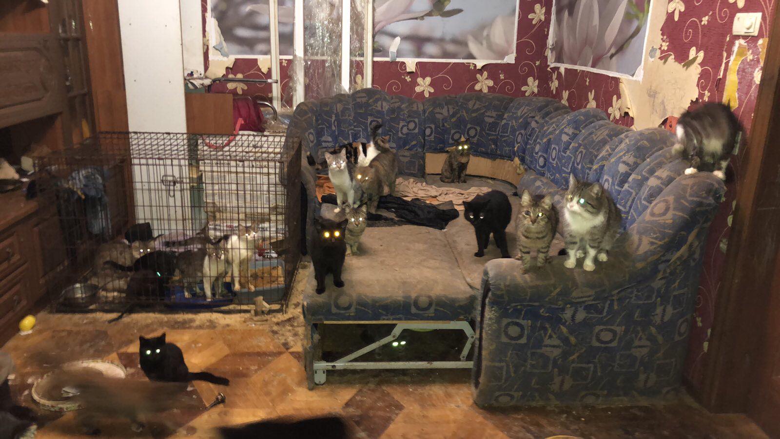 Нет описания.