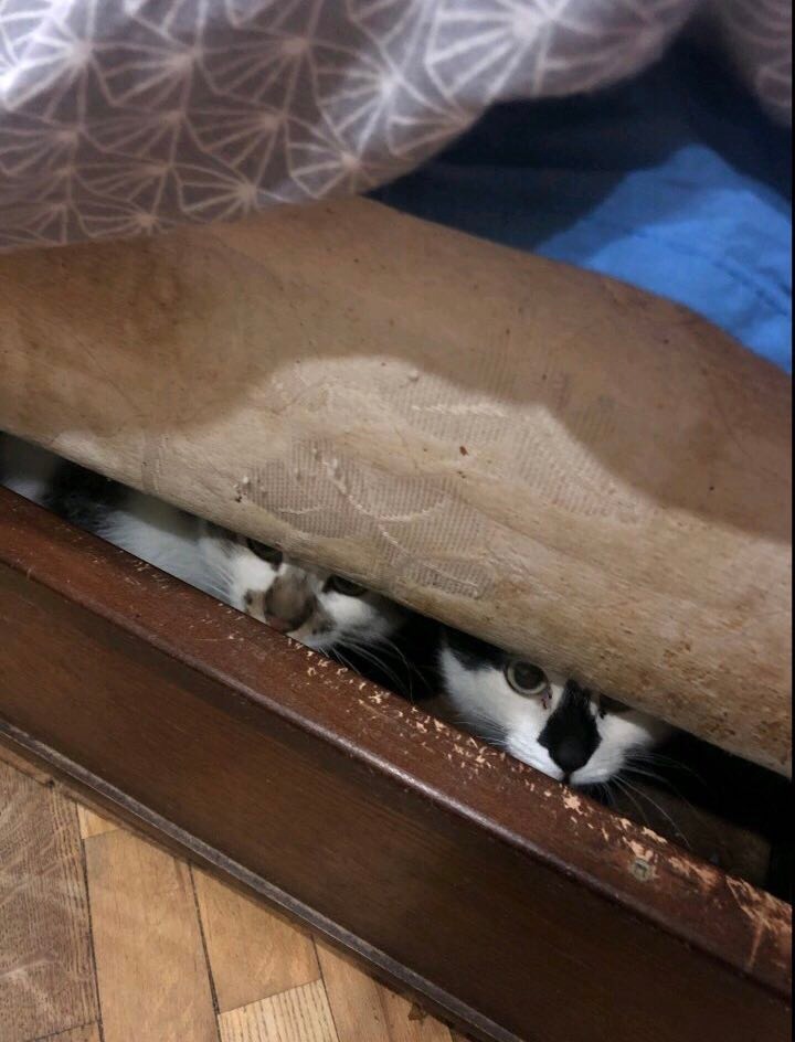 Нет описания.