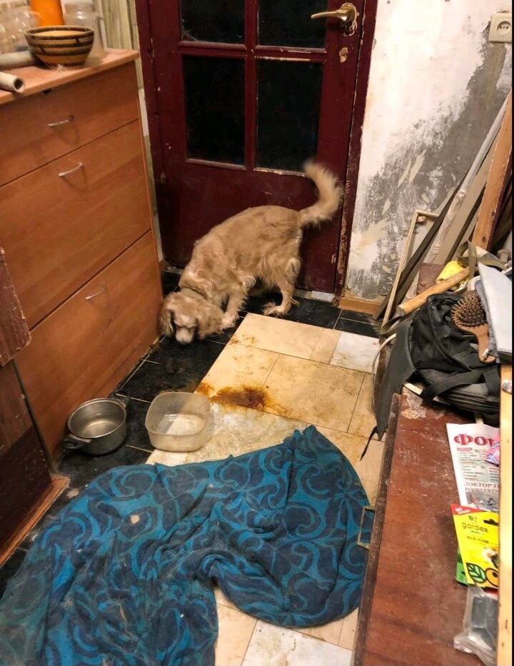 Нет описания.