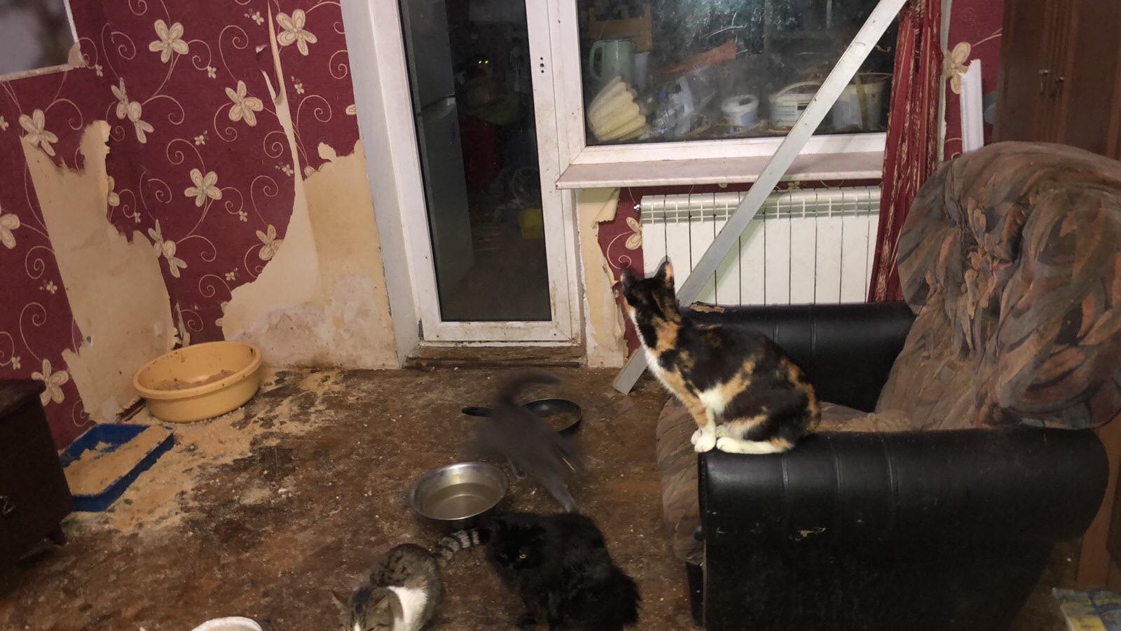 Нет описания.